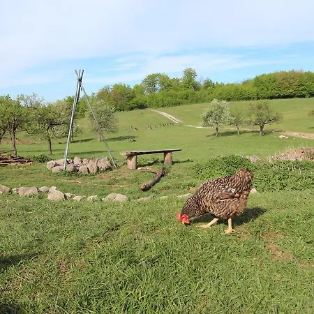 Luxury tent Camping And Glamping Slovakia