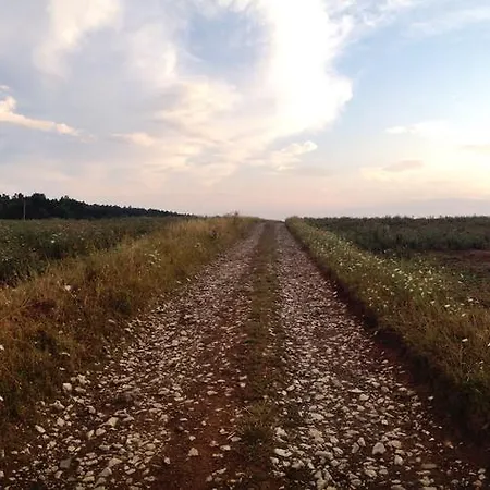 Camping And Glamping Slovakia