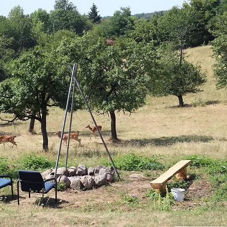 Luxury tent Camping And Glamping Slovakia